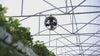 Fan on in a greenhouse
